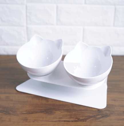 Deluxe Pet Dining Experience: Elegant Inclined Food Cat Bowl With Transparent Design-19