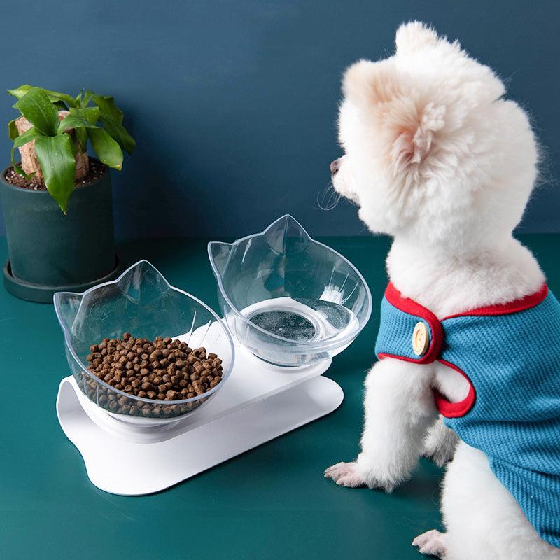 Deluxe Pet Dining Experience: Elegant Inclined Food Cat Bowl With Transparent Design-0